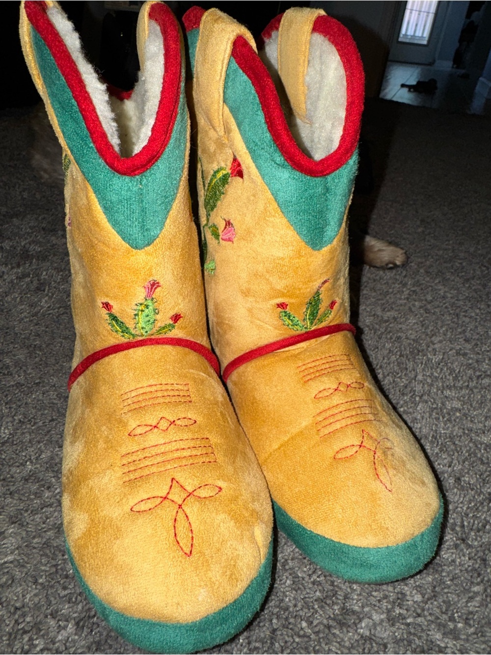 CiccaBella  Cactus boot style Lined slippers
